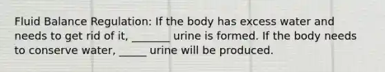 Fluid Balance Regulation: If the body has excess water and needs to get rid of it, _______ urine is formed. If the body needs to conserve water, _____ urine will be produced.