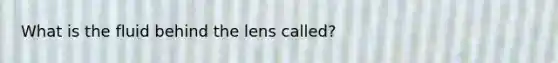 What is the fluid behind the lens called?