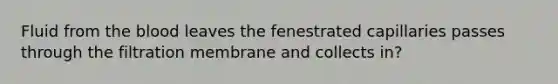 Fluid from the blood leaves the fenestrated capillaries passes through the filtration membrane and collects in?