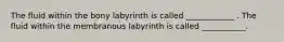 The fluid within the bony labyrinth is called ____________ . The fluid within the membranous labyrinth is called ___________.