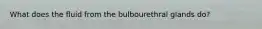 What does the fluid from the bulbourethral glands do?