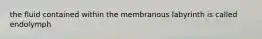 the fluid contained within the membranous labyrinth is called endolymph