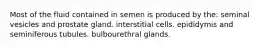 Most of the fluid contained in semen is produced by the: seminal vesicles and prostate gland. interstitial cells. epididymis and seminiferous tubules. bulbourethral glands.