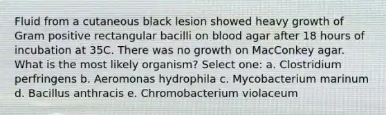 Fluid from a cutaneous black lesion showed heavy growth of Gram positive rectangular bacilli on blood agar after 18 hours of incubation at 35C. There was no growth on MacConkey agar. What is the most likely organism? Select one: a. Clostridium perfringens b. Aeromonas hydrophila c. Mycobacterium marinum d. Bacillus anthracis e. Chromobacterium violaceum