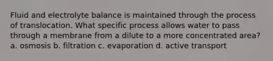 Fluid and electrolyte balance is maintained through the process of translocation. What specific process allows water to pass through a membrane from a dilute to a more concentrated area? a. osmosis b. filtration c. evaporation d. active transport