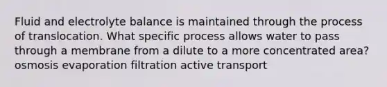 Fluid and electrolyte balance is maintained through the process of translocation. What specific process allows water to pass through a membrane from a dilute to a more concentrated area? osmosis evaporation filtration active transport