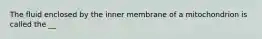 The fluid enclosed by the inner membrane of a mitochondrion is called the __