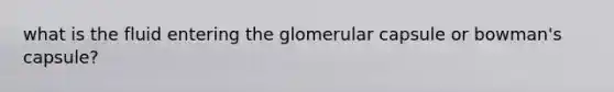 what is the fluid entering the glomerular capsule or bowman's capsule?