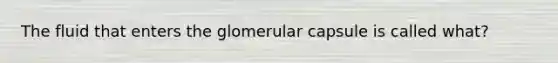 The fluid that enters the glomerular capsule is called what?