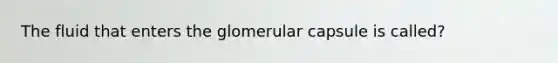 The fluid that enters the glomerular capsule is called?