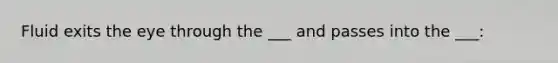 Fluid exits the eye through the ___ and passes into the ___: