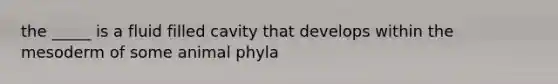 the _____ is a fluid filled cavity that develops within the mesoderm of some animal phyla