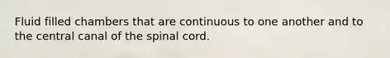 Fluid filled chambers that are continuous to one another and to the central canal of the spinal cord.