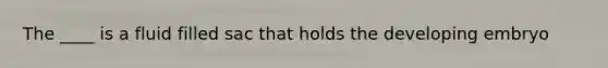 The ____ is a fluid filled sac that holds the developing embryo
