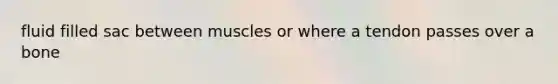 fluid filled sac between muscles or where a tendon passes over a bone