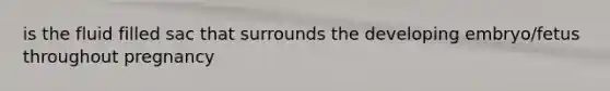 is the fluid filled sac that surrounds the developing embryo/fetus throughout pregnancy