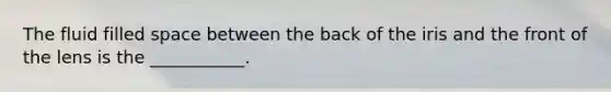 The fluid filled space between the back of the iris and the front of the lens is the ___________.
