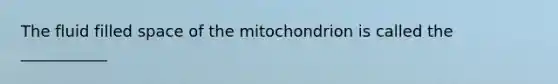 The fluid filled space of the mitochondrion is called the ___________