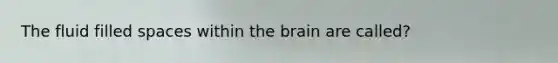 The fluid filled spaces within the brain are called?