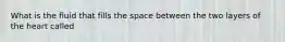 What is the fluid that fills the space between the two layers of the heart called