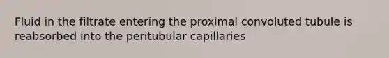 Fluid in the filtrate entering the proximal convoluted tubule is reabsorbed into the peritubular capillaries