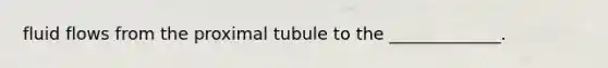 fluid flows from the proximal tubule to the _____________.