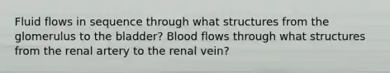 Fluid flows in sequence through what structures from the glomerulus to the bladder? Blood flows through what structures from the renal artery to the renal vein?