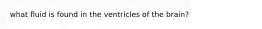 what fluid is found in the ventricles of the brain?