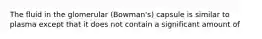 The fluid in the glomerular (Bowman's) capsule is similar to plasma except that it does not contain a significant amount of