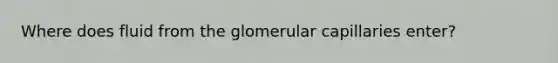 Where does fluid from the glomerular capillaries enter?