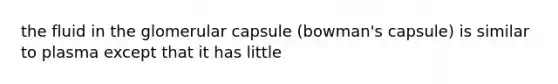 the fluid in the glomerular capsule (bowman's capsule) is similar to plasma except that it has little