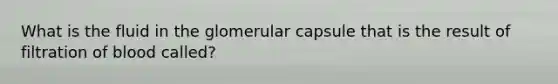 What is the fluid in the glomerular capsule that is the result of filtration of blood called?