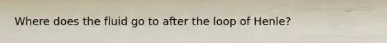 Where does the fluid go to after the loop of Henle?