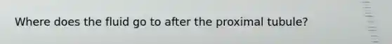 Where does the fluid go to after the proximal tubule?