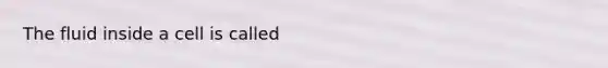 The fluid inside a cell is called