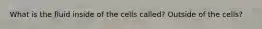 What is the fluid inside of the cells called? Outside of the cells?