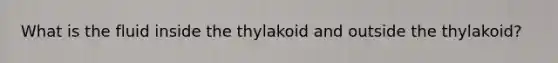 What is the fluid inside the thylakoid and outside the thylakoid?