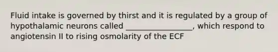 Fluid intake is governed by thirst and it is regulated by a group of hypothalamic neurons called _________________, which respond to angiotensin II to rising osmolarity of the ECF