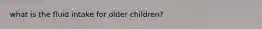 what is the fluid intake for older children?