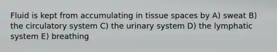 Fluid is kept from accumulating in tissue spaces by A) sweat B) the circulatory system C) the urinary system D) the lymphatic system E) breathing