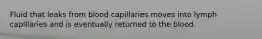 Fluid that leaks from blood capillaries moves into lymph capillaries and is eventually returned to the blood.