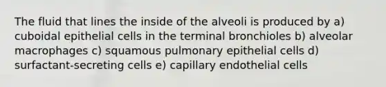 The fluid that lines the inside of the alveoli is produced by a) cuboidal epithelial cells in the terminal bronchioles b) alveolar macrophages c) squamous pulmonary epithelial cells d) surfactant-secreting cells e) capillary endothelial cells