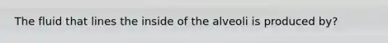 The fluid that lines the inside of the alveoli is produced by?