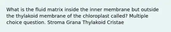 What is the fluid matrix inside the inner membrane but outside the thylakoid membrane of the chloroplast called? Multiple choice question. Stroma Grana Thylakoid Cristae