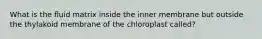 What is the fluid matrix inside the inner membrane but outside the thylakoid membrane of the chloroplast called?