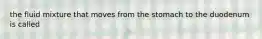 the fluid mixture that moves from the stomach to the duodenum is called