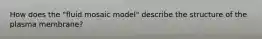 How does the "fluid mosaic model" describe the structure of the plasma membrane?