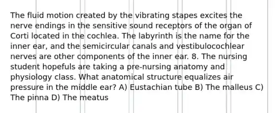 The fluid motion created by the vibrating stapes excites the nerve endings in the sensitive sound receptors of the organ of Corti located in the cochlea. The labyrinth is the name for the inner ear, and the semicircular canals and vestibulocochlear nerves are other components of the inner ear. 8. The nursing student hopefuls are taking a pre-nursing anatomy and physiology class. What anatomical structure equalizes air pressure in the middle ear? A) Eustachian tube B) The malleus C) The pinna D) The meatus