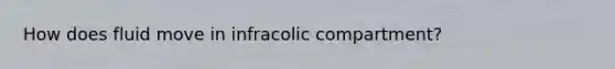 How does fluid move in infracolic compartment?