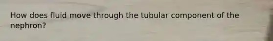 How does fluid move through the tubular component of the nephron?